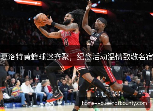 夏洛特黄蜂球迷齐聚，纪念活动温情致敬名宿
