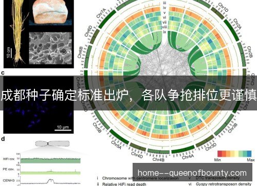 成都种子确定标准出炉，各队争抢排位更谨慎